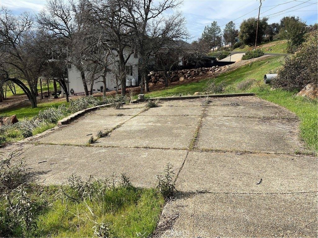 Picture 11