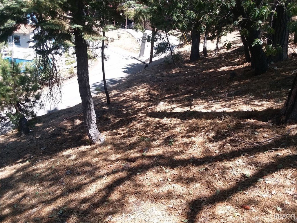 Picture 2