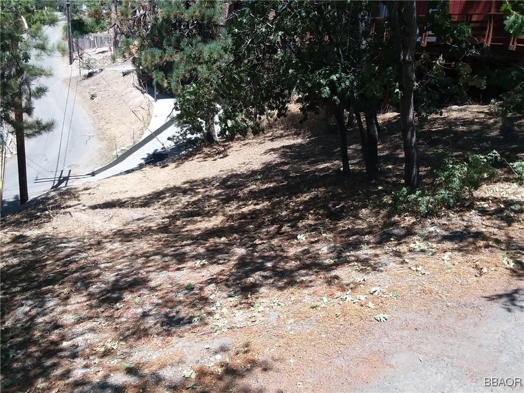 Picture 3