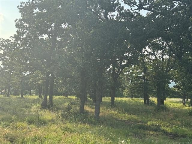 Picture 10