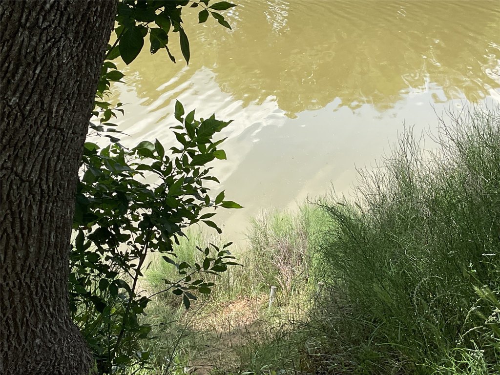 Picture 18