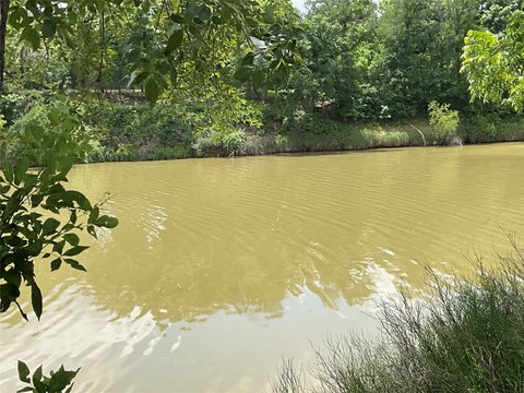 Waterfront Lot