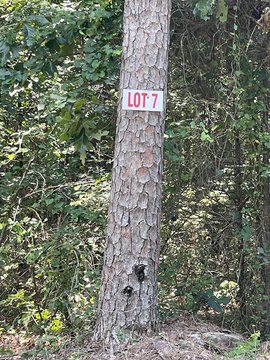 Vacant Land, Greers Ferry, AR