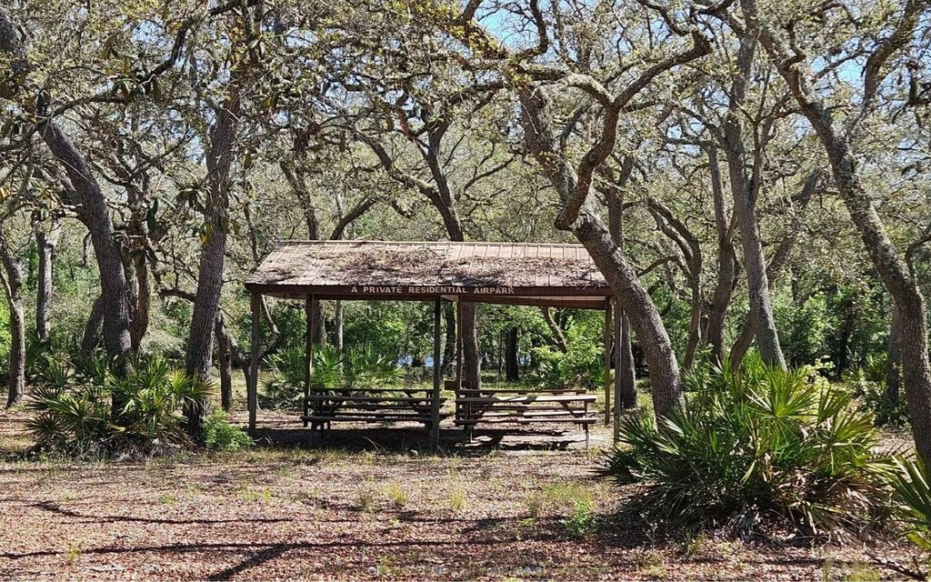Picture 10