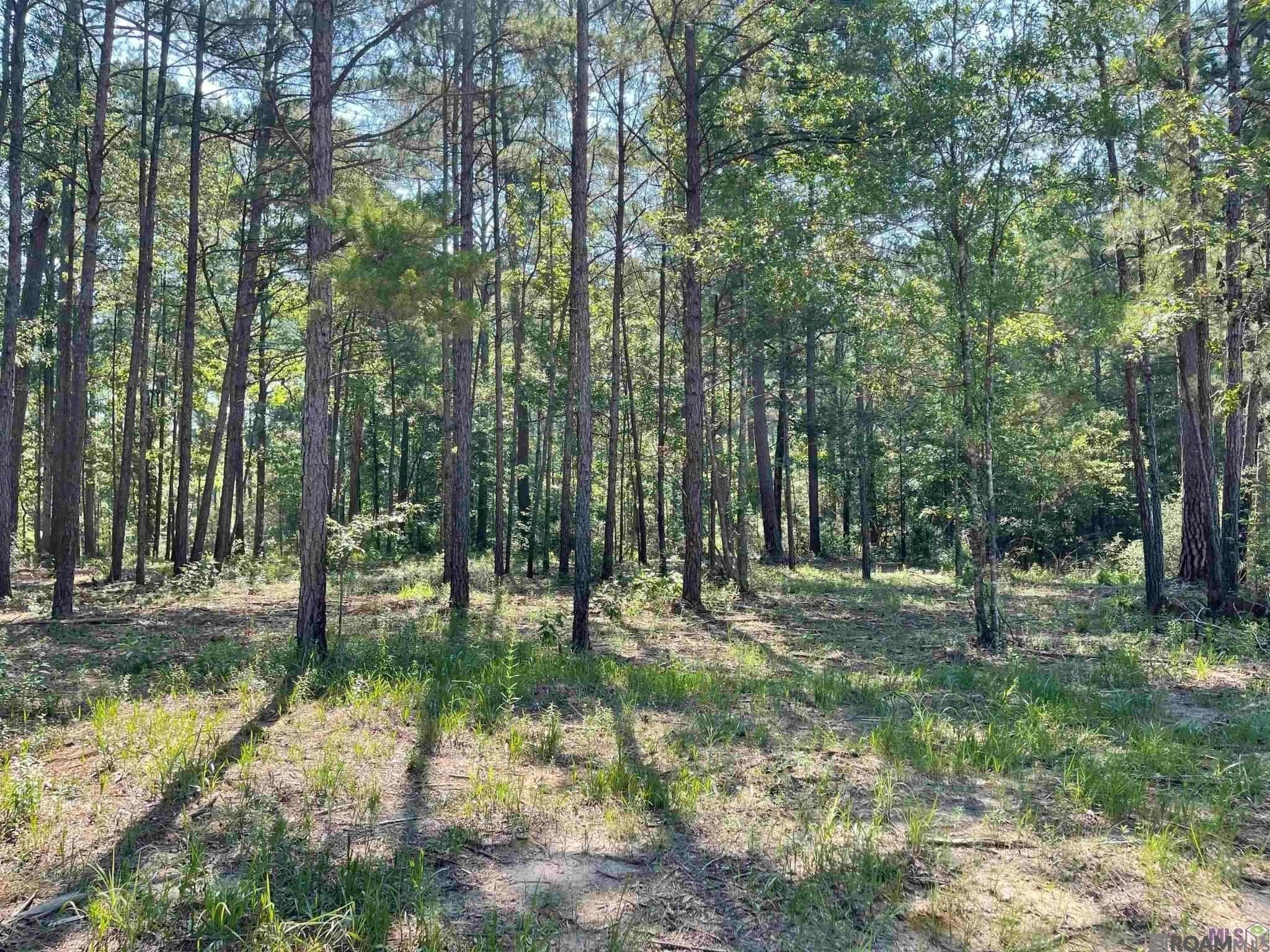 Clinton, LA Homesite Opportunity