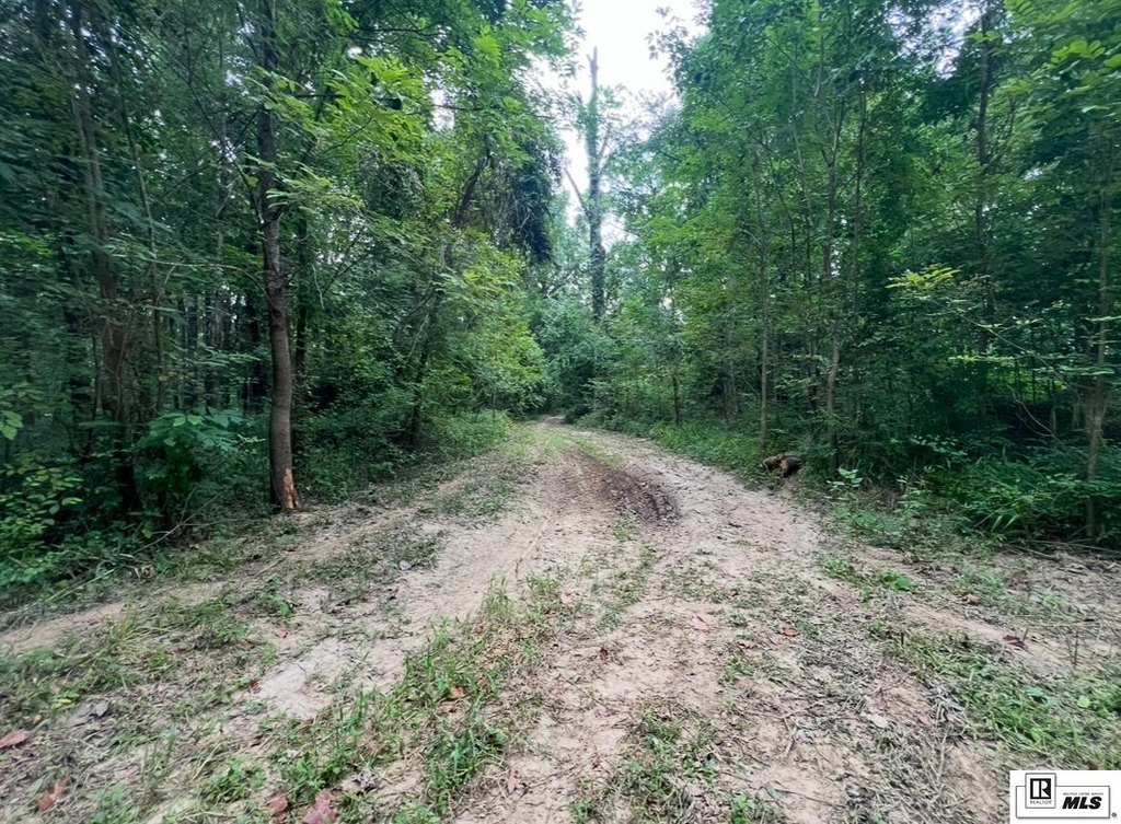 Picture 29
