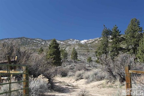 Expansive Carson City Land Parcel