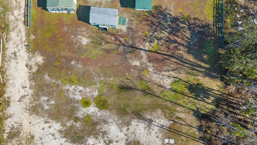 Picture 3