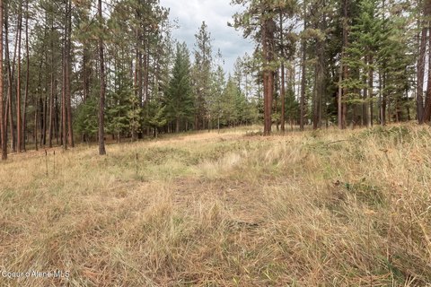 Land, Moyie Springs, ID