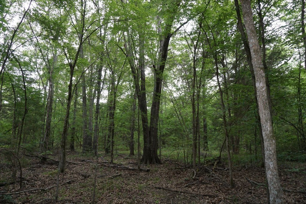 Picture 18