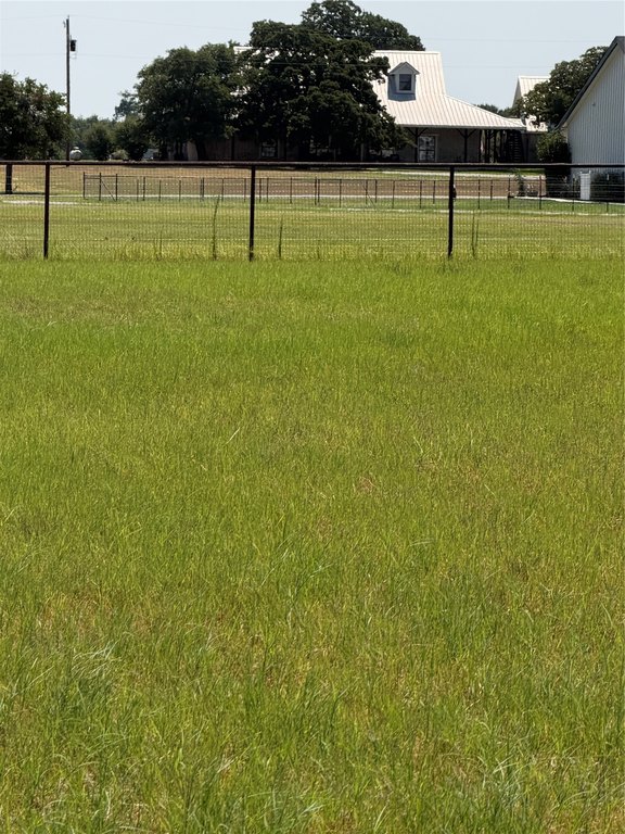 Picture 13