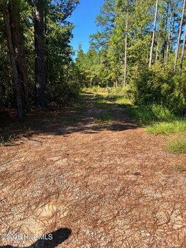Land, Blythe, GA