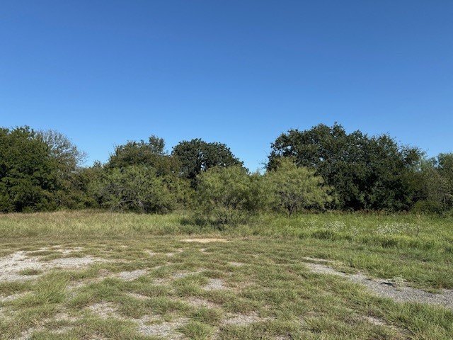 Picture 2