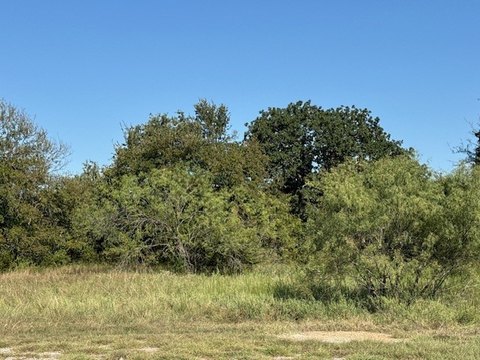 Waterfront Resort Lot