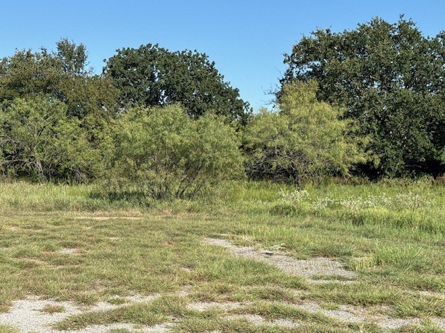 Picture 3