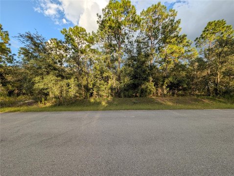 Land, DUNNELLON, FL