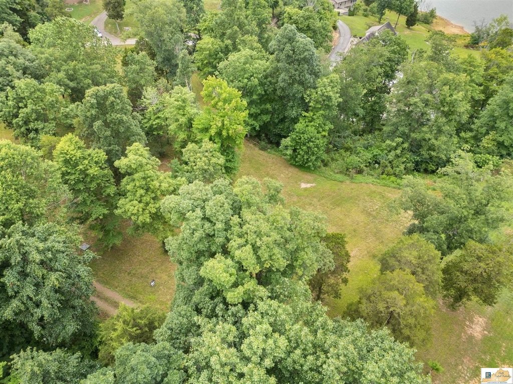 Picture 11