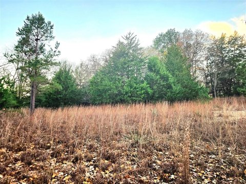 Hilltop Lot in Safari Waters