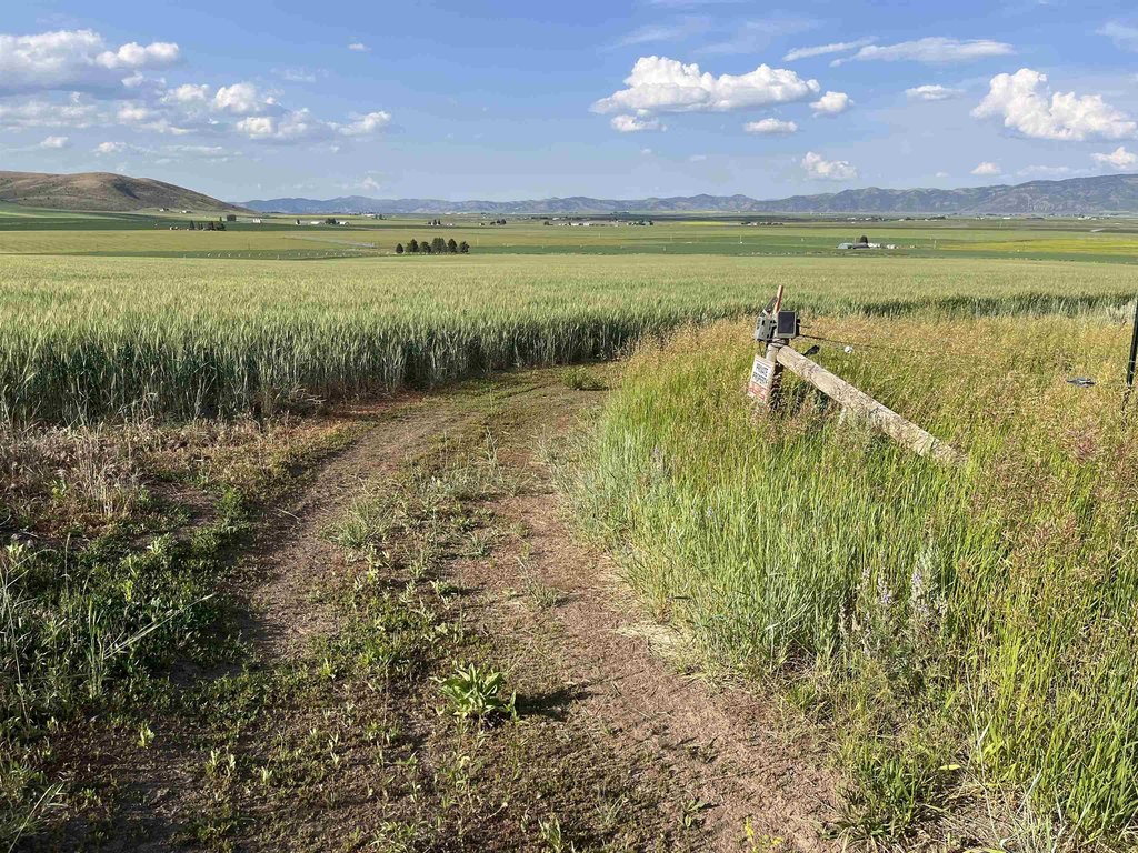 Picture 19