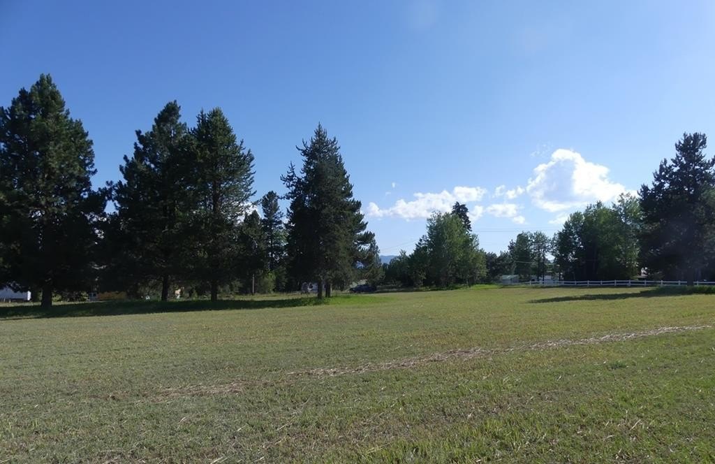 Picture 15