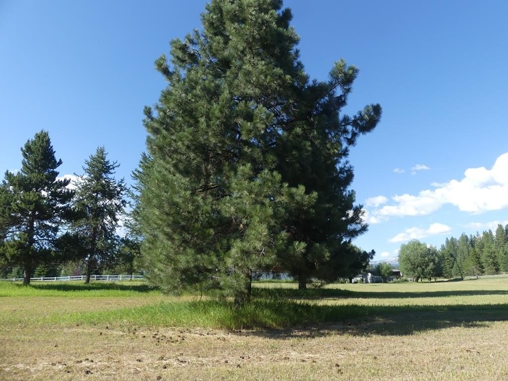 Picture 14