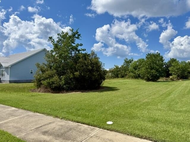 Picture 4