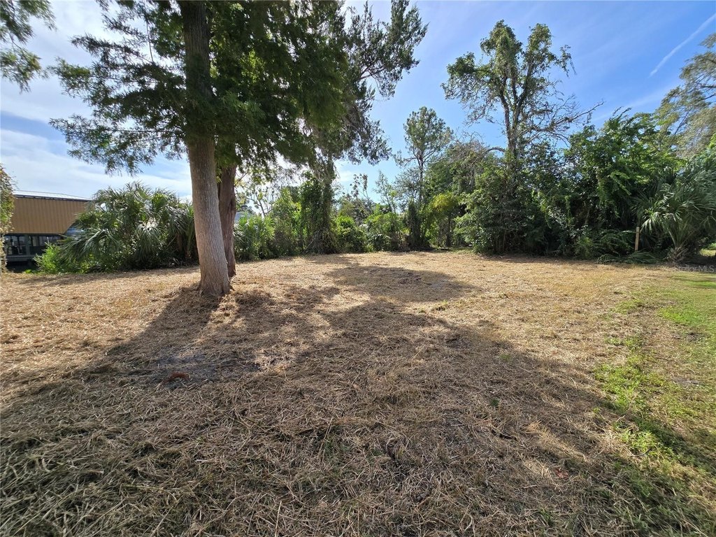 Picture 11