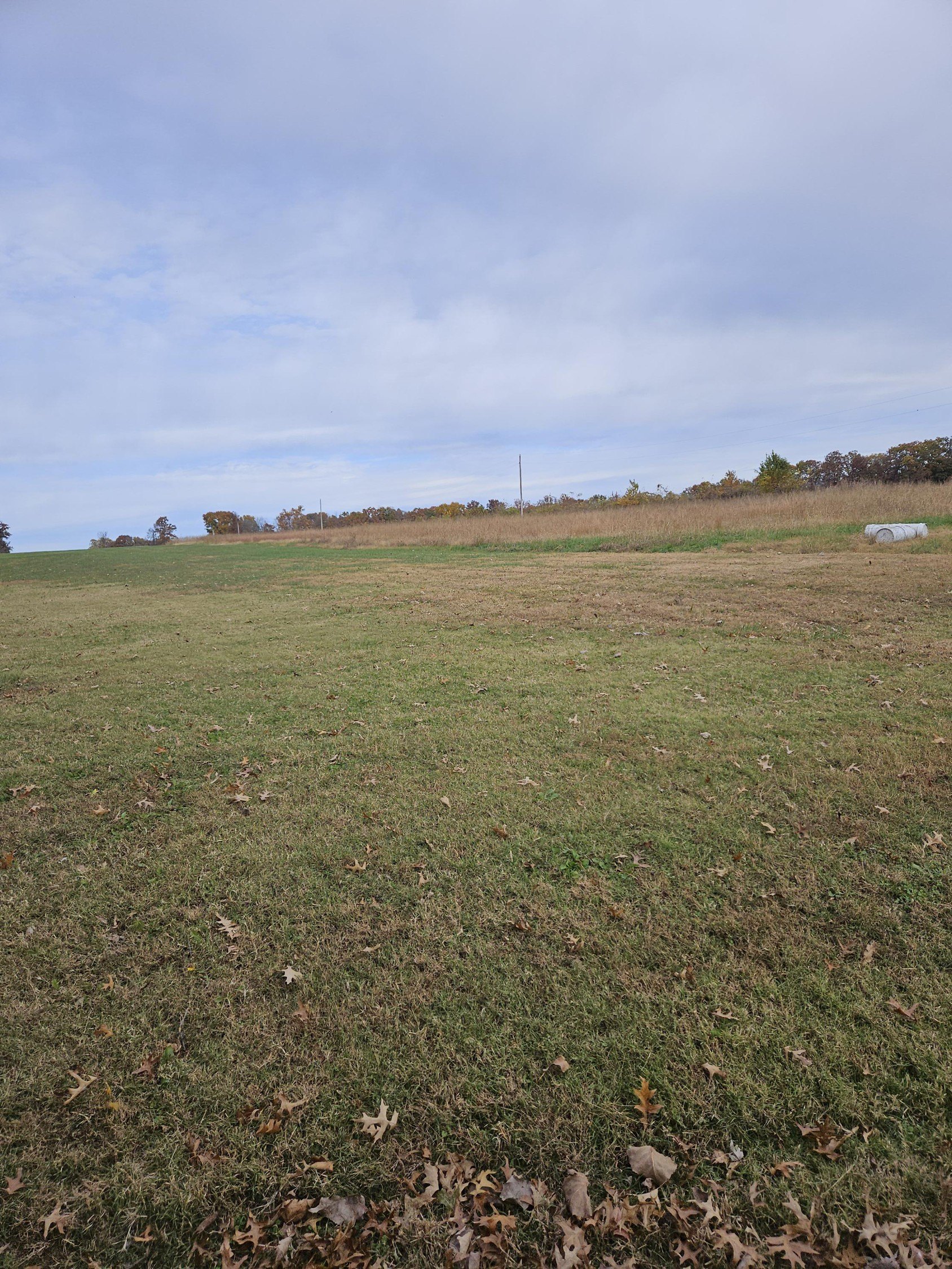 Land Near Pittsburg Landing Strip