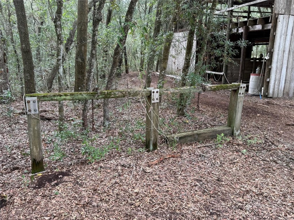 Picture 10