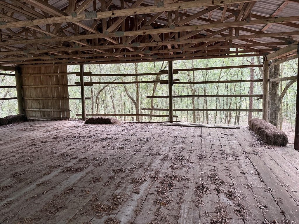 Picture 15