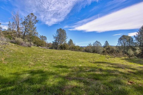Rural Land with Year-Round Springs