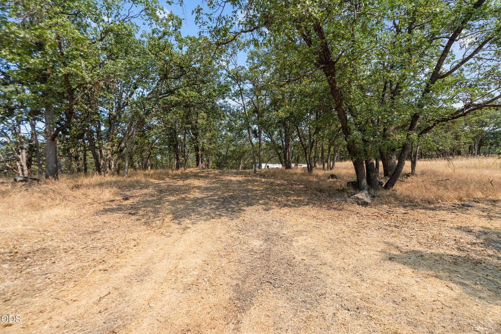 Picture 12