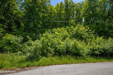Lots & Acreage, Speedwell, TN