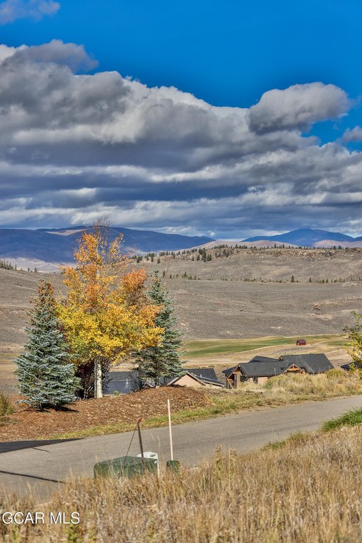 Picture 4