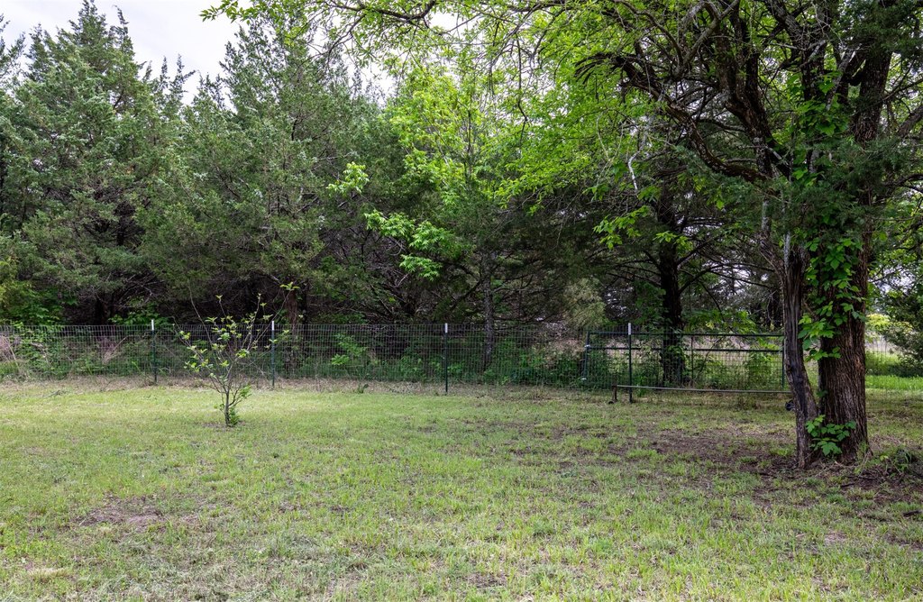 Picture 16