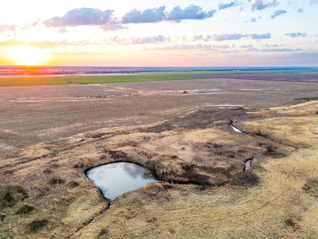 Picture 16