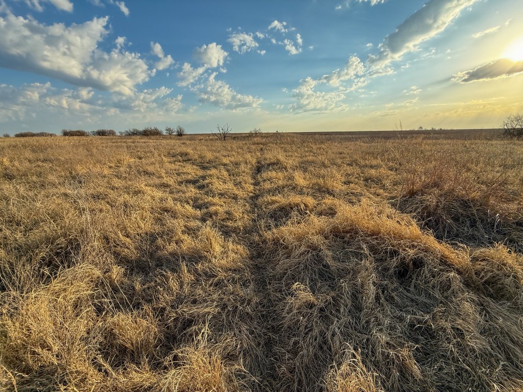 Picture 29
