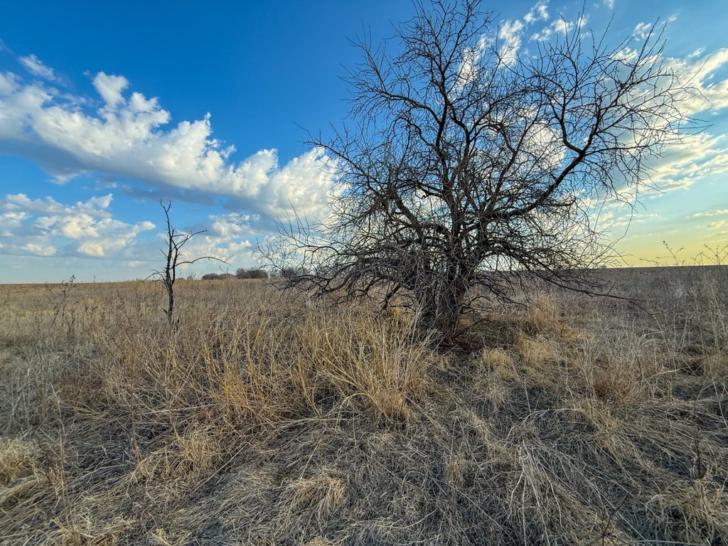 Picture 32