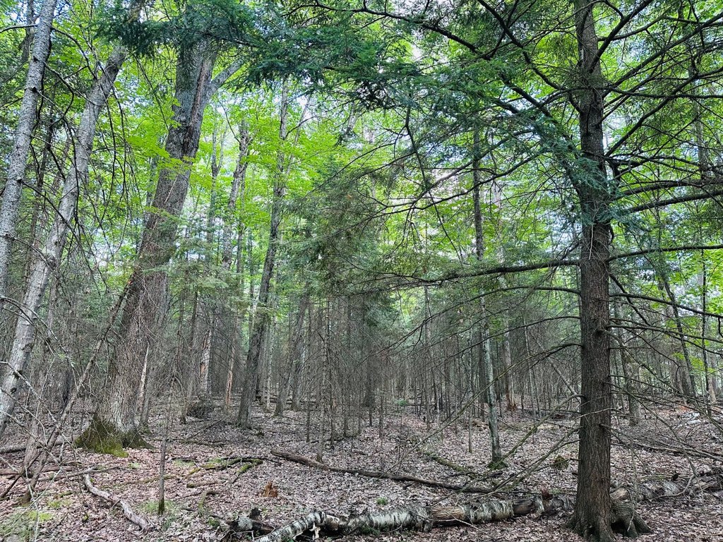 Picture 41