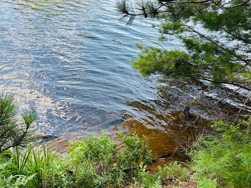 Picture 21