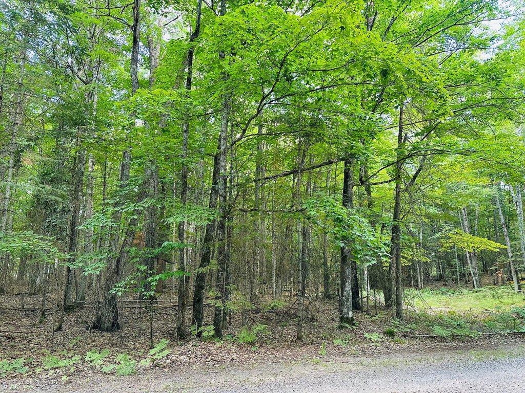Picture 38