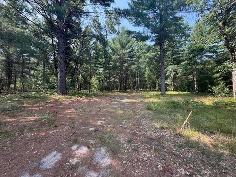 Wooded Land Bordering State Land