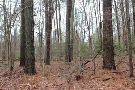 LAND - GREENBACKVILLE, VA