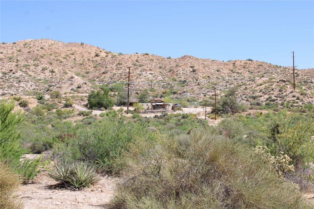 Picture 6