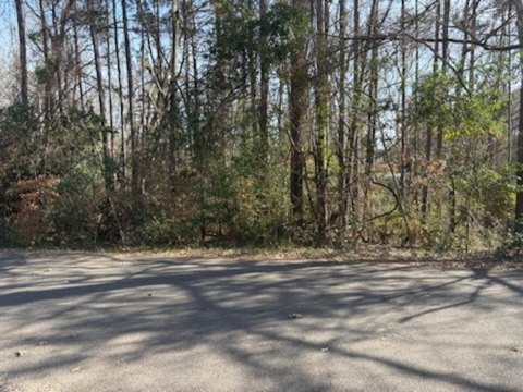Residential Land in Established Neighborhood