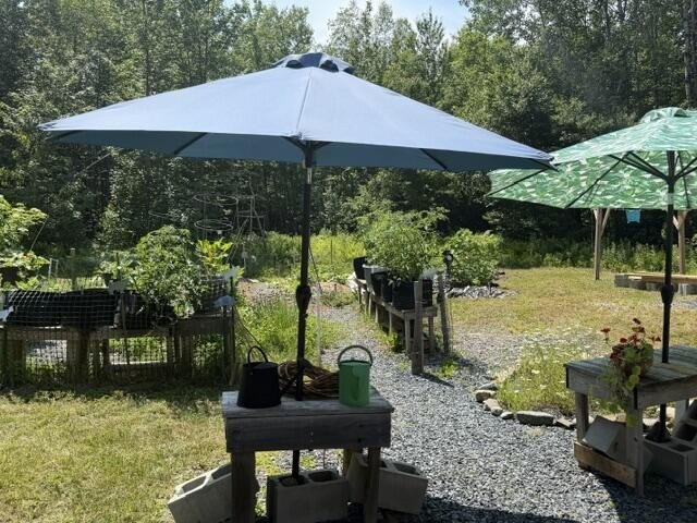 Picture 3