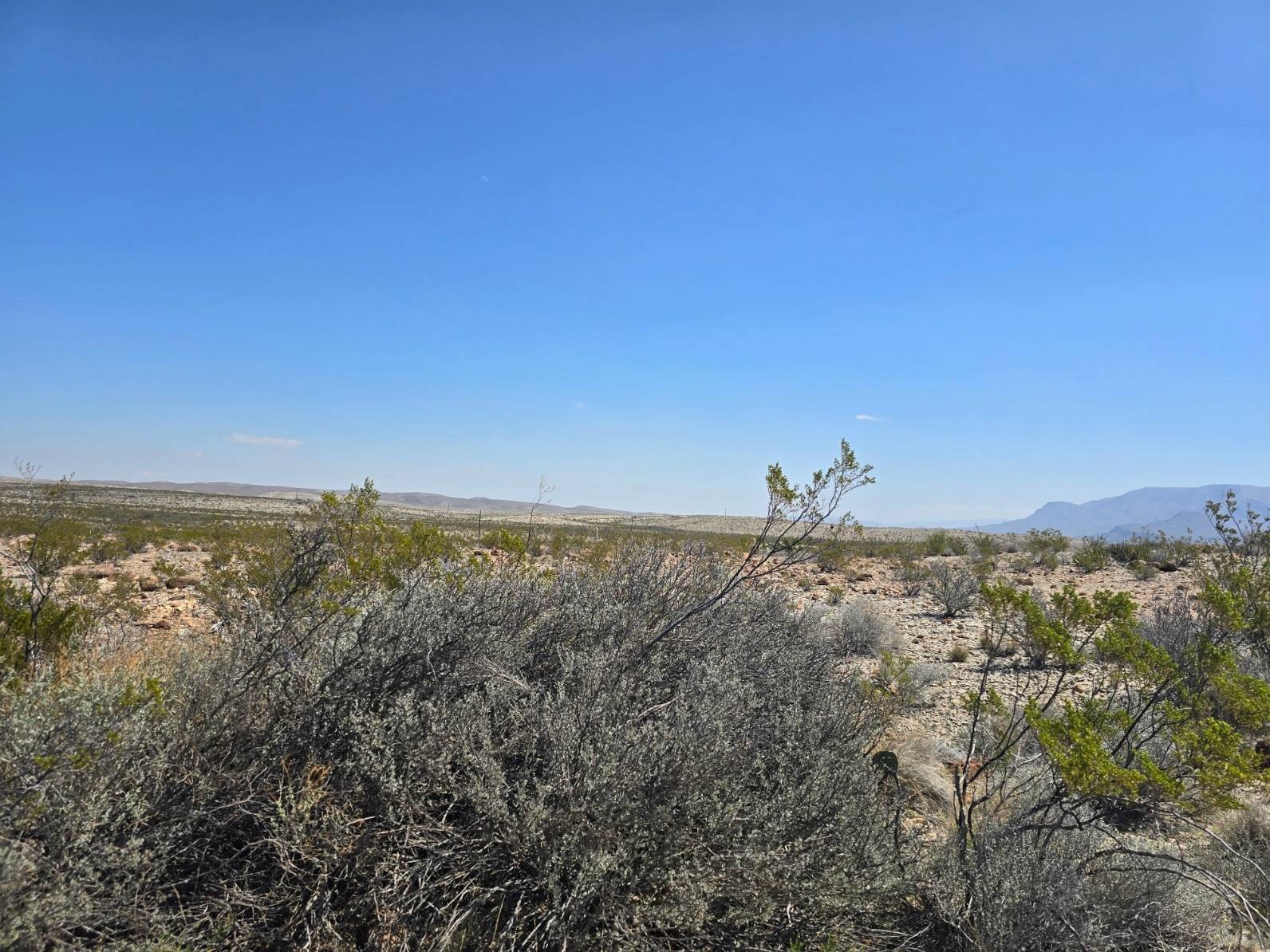 5 Acre Vacant Land Tract