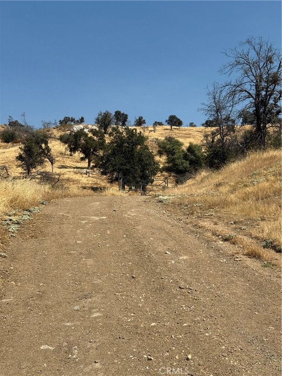 Picture 22