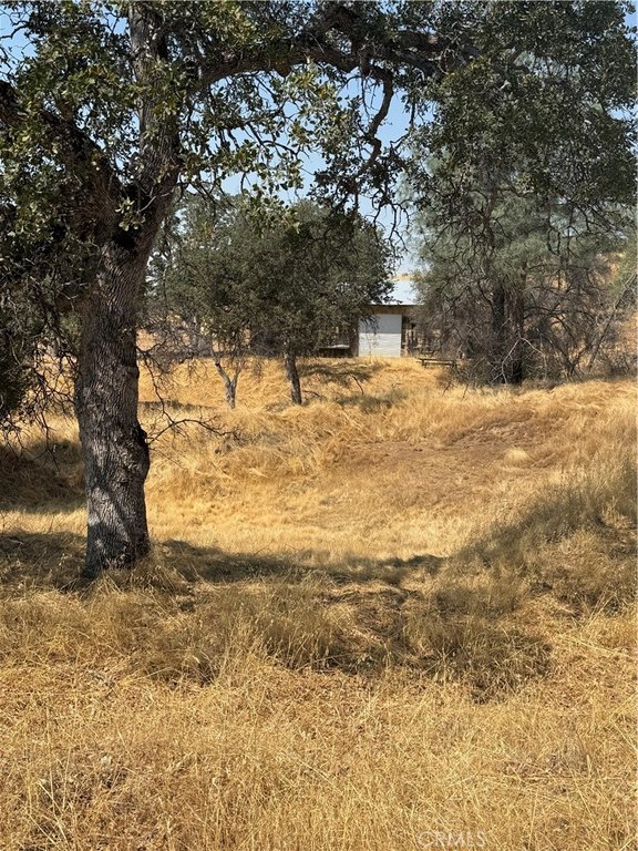 Picture 47