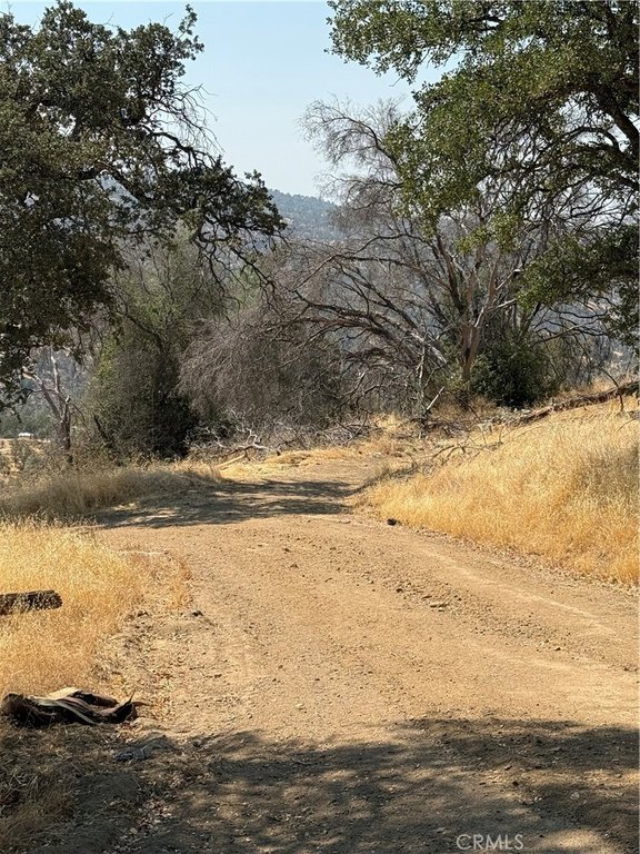 Picture 39
